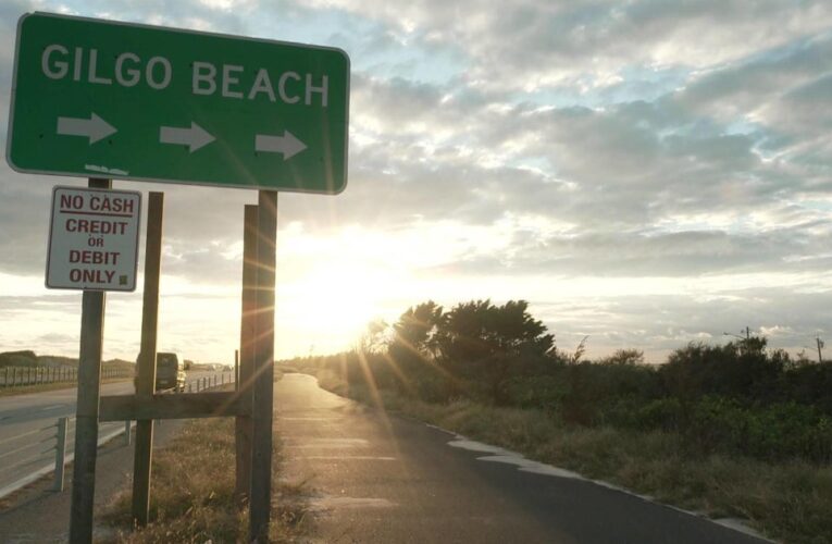 Timeline: Investigating the Long Island serial killings