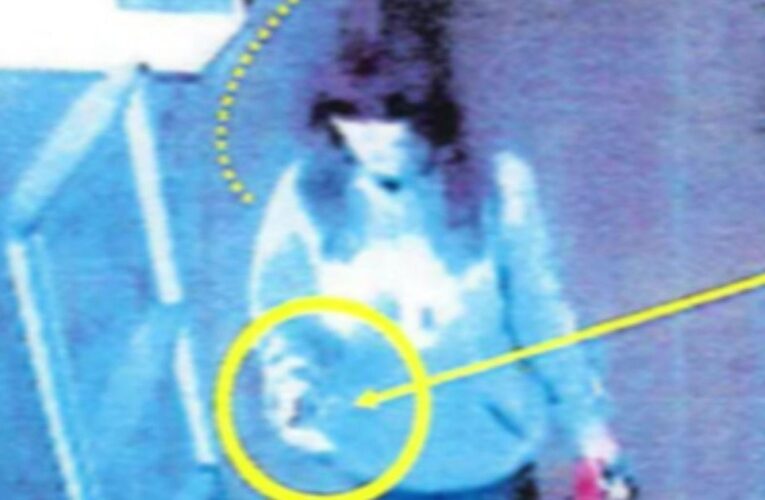 Did a California wife conspire with her ex-lover to kill her husband?
