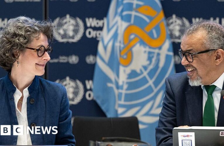 WHO agrees legally binding pandemic treaty