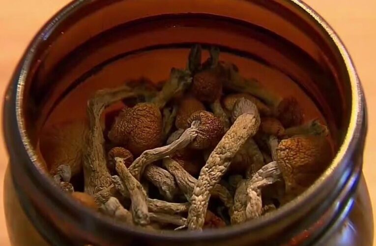 UC San Francisco's psilocybin therapy shows promise for Parkinson's patients