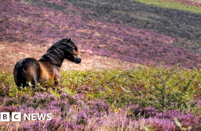 Nature festival launched at national Park