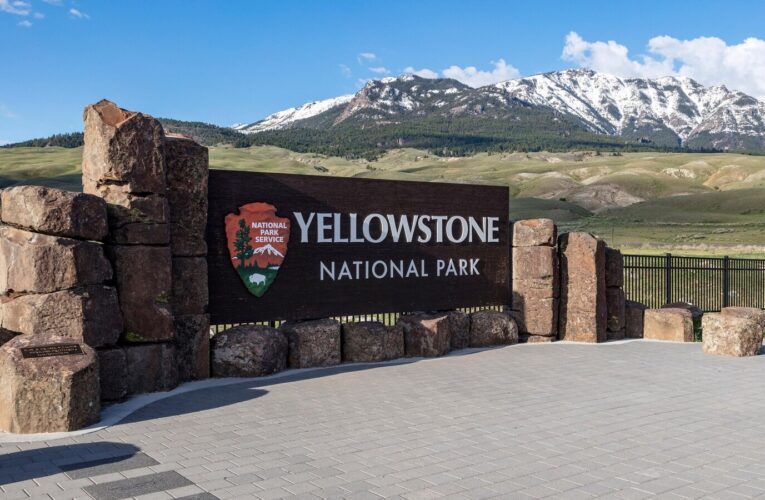 Driver's blood alcohol level twice the legal limit in fatal Yellowstone crash: Police