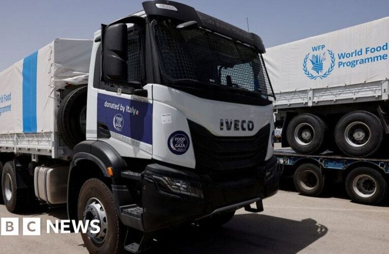 Gaza aid trucks rushed by desperate and hungry crowds, WFP says