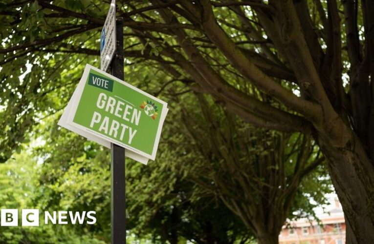 Green Party members start choosing new leadership