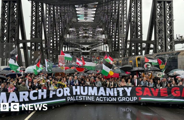 Pro-Palestine march closes Sydney Harbour Bridge