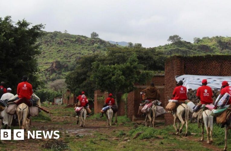 Aid workers use donkeys to reach remote Sudan landslide site