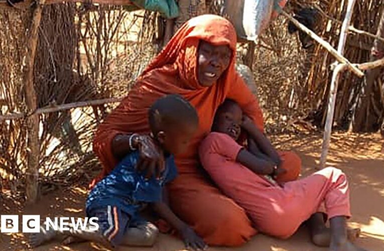 Sudan paramilitaries accused of crimes against humanity over siege of key city