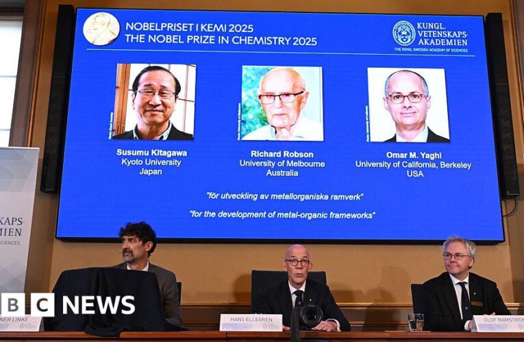 Chemistry Nobel awarded to three scientists for their work on metal organic frameworks